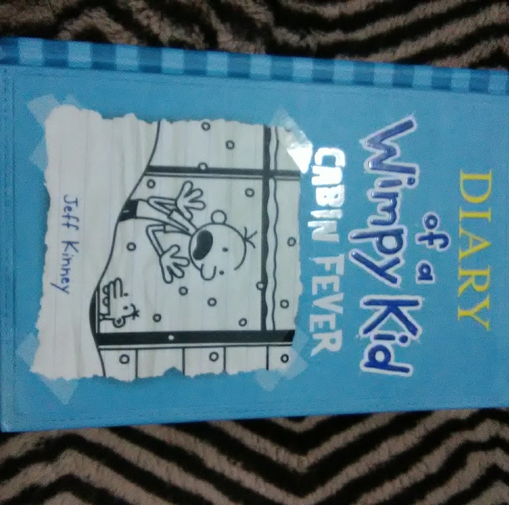 Diary of a wimpy kid cabin fever